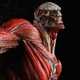 Illustration for article titled Oh Hey, Its a $675 emAttack on Titan/em Statue